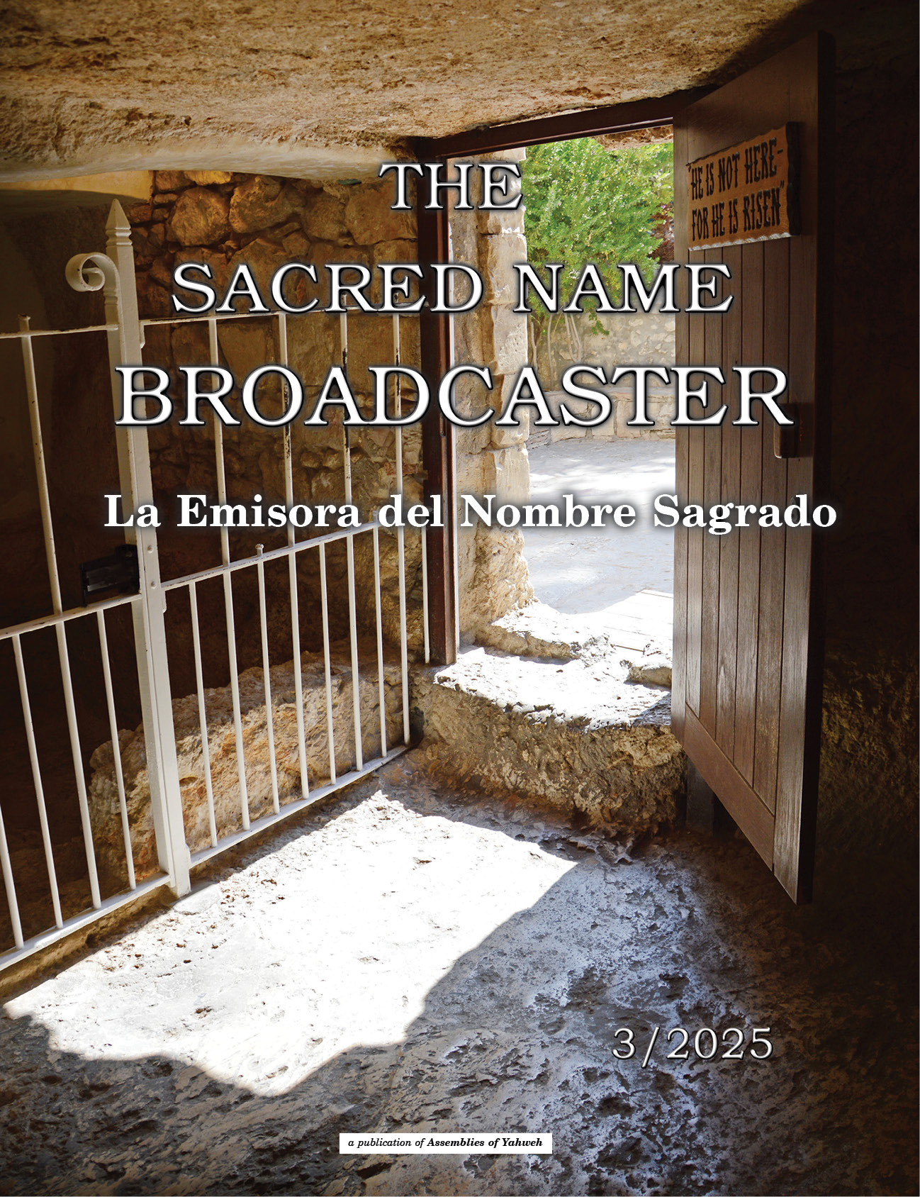 Publication Thumbnail