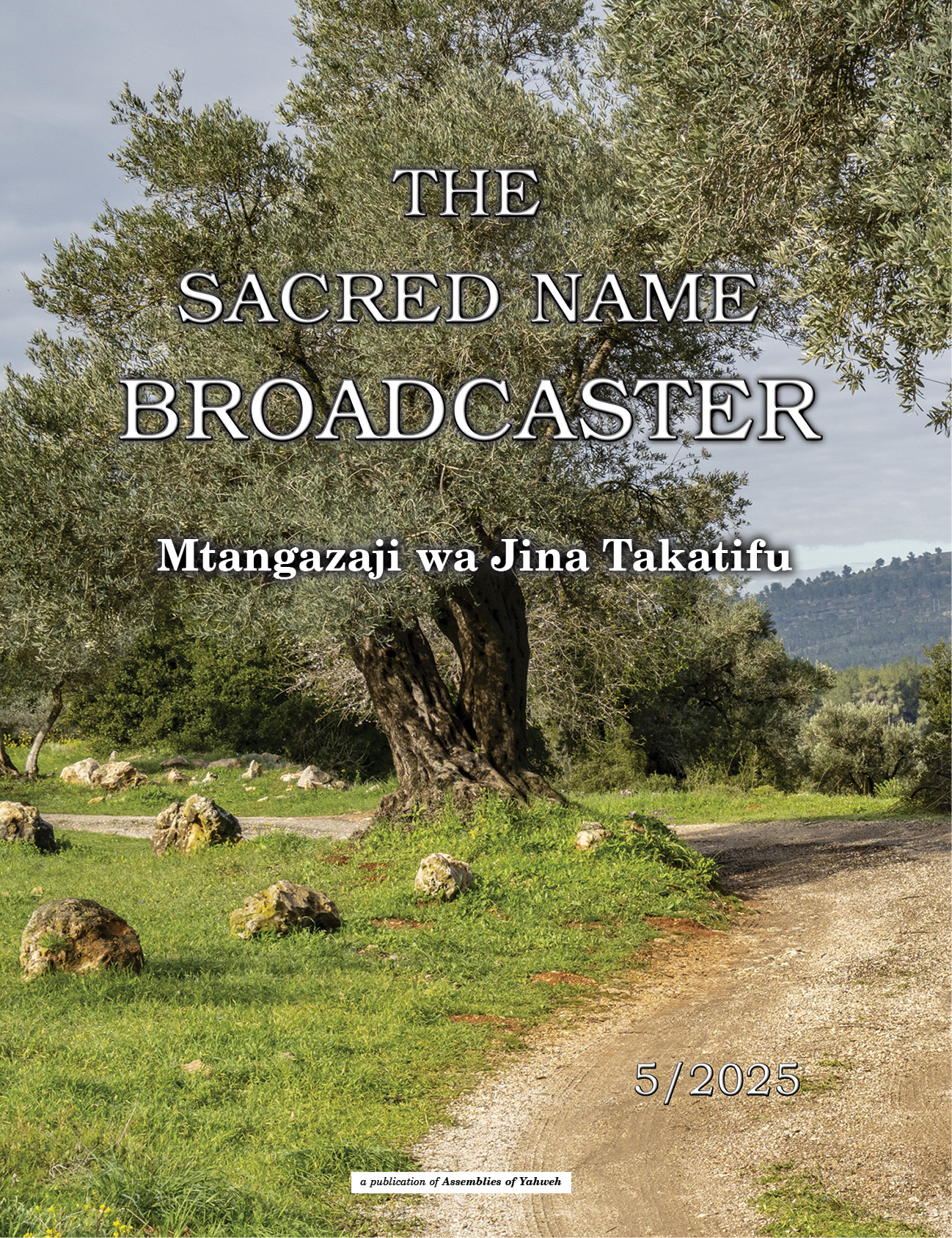 Publication Thumbnail